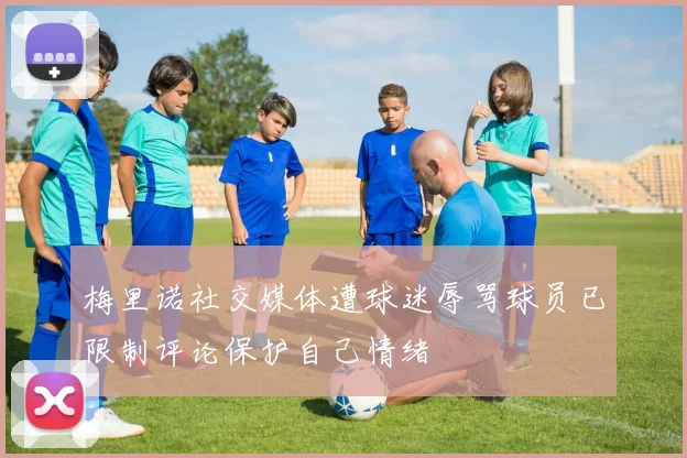 梅里诺社交媒体遭球迷辱骂球员已限制评论保护自己情绪